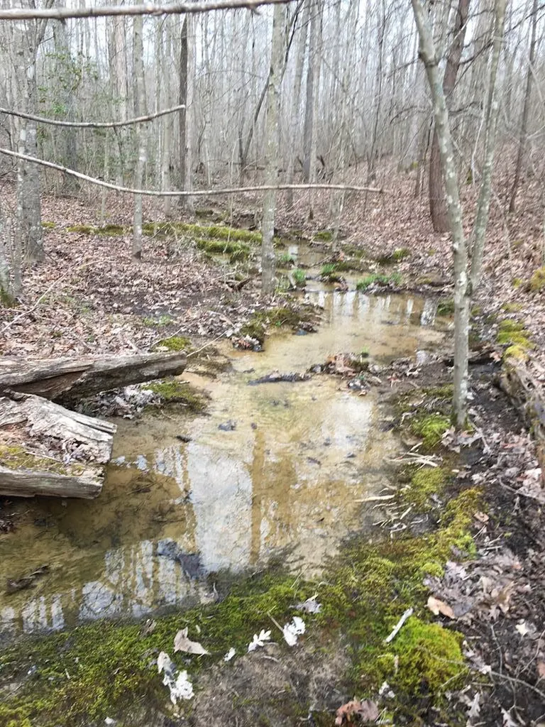Lot 47 Buckeye Lane Wilder TN 38589