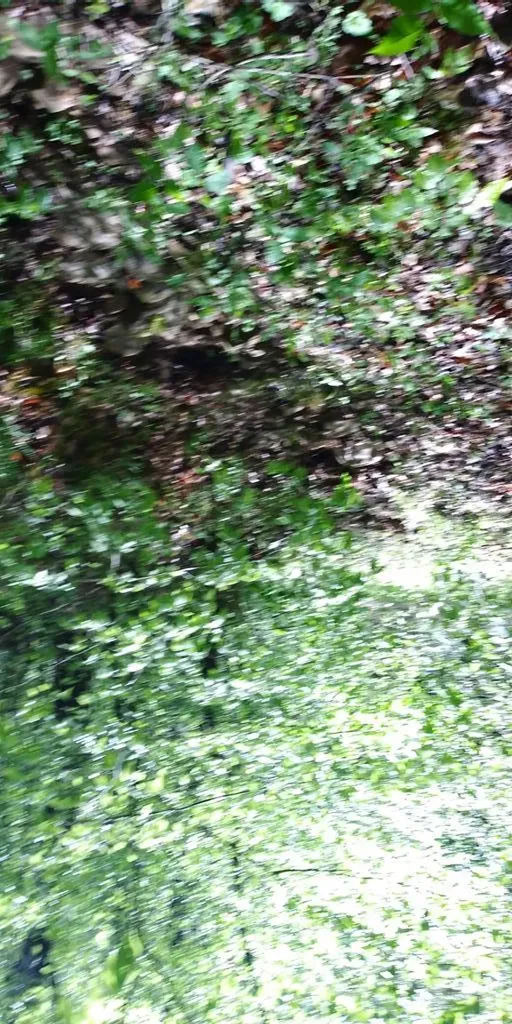 Lot 47 Buckeye Lane Wilder TN 38589
