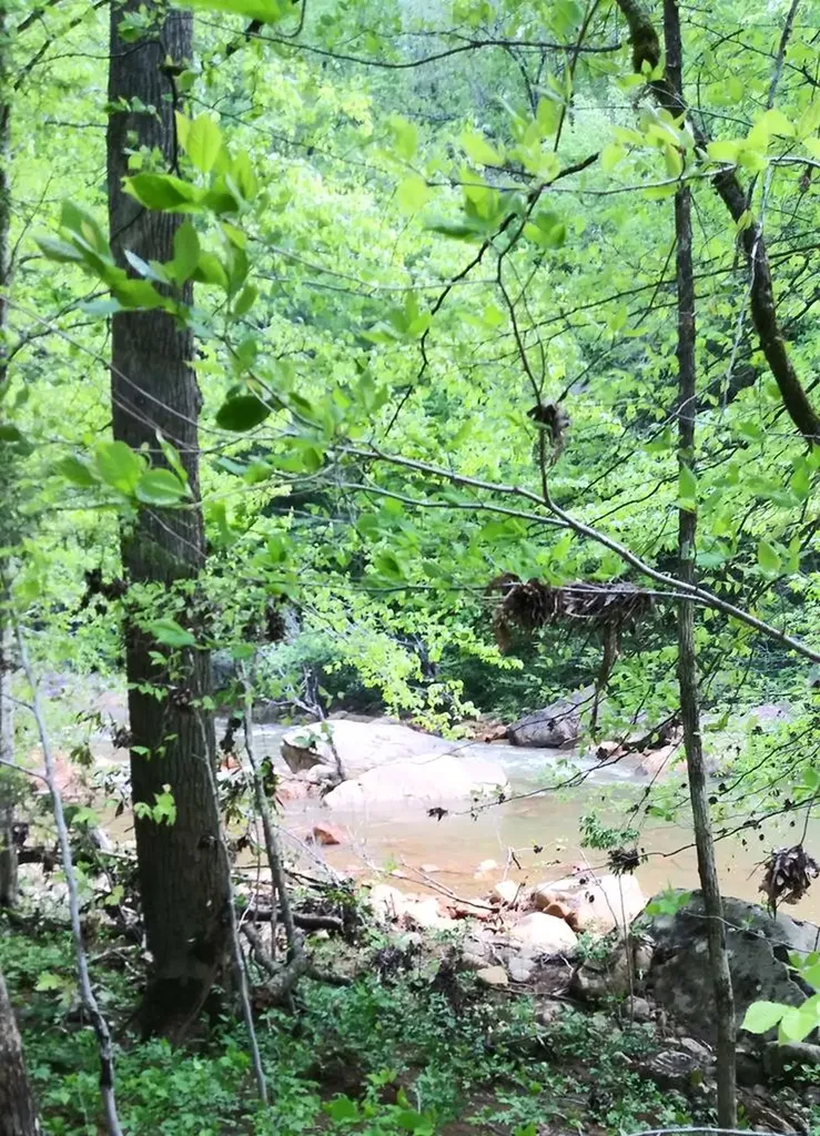 Lot 47 Buckeye Lane Wilder TN 38589