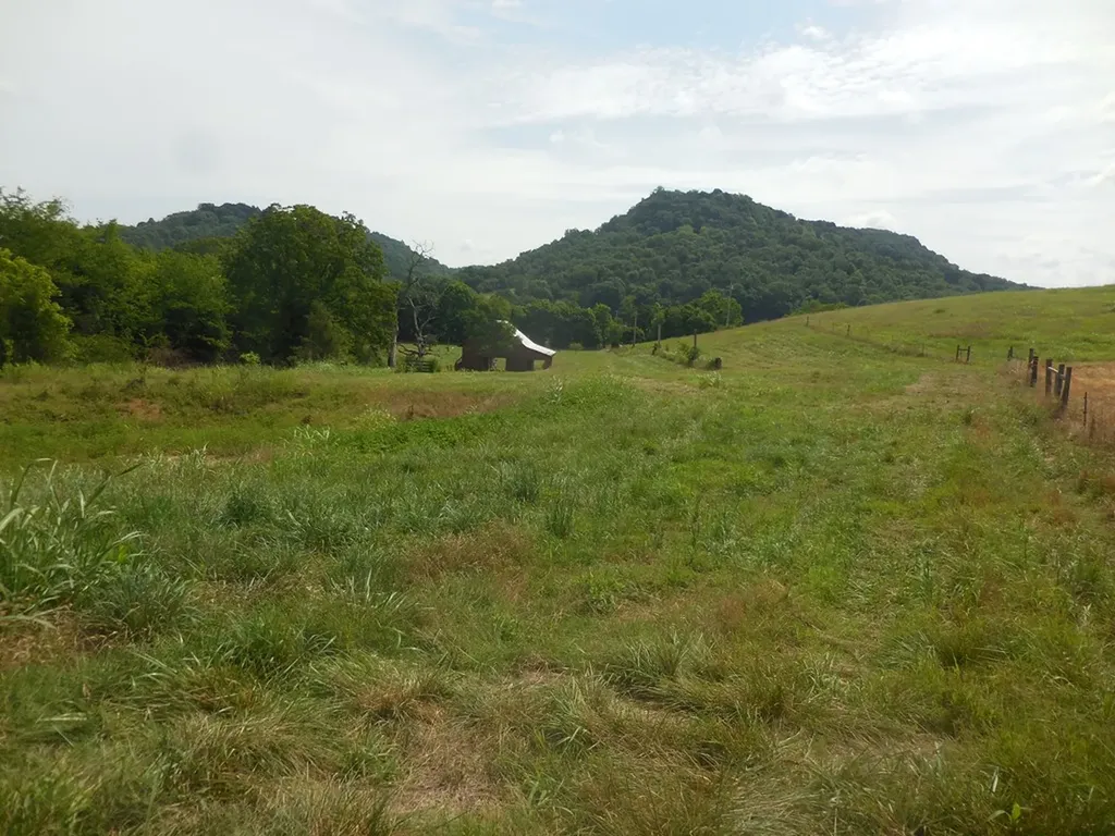 0 Flynns Lick Lane Gainesboro TN 38562