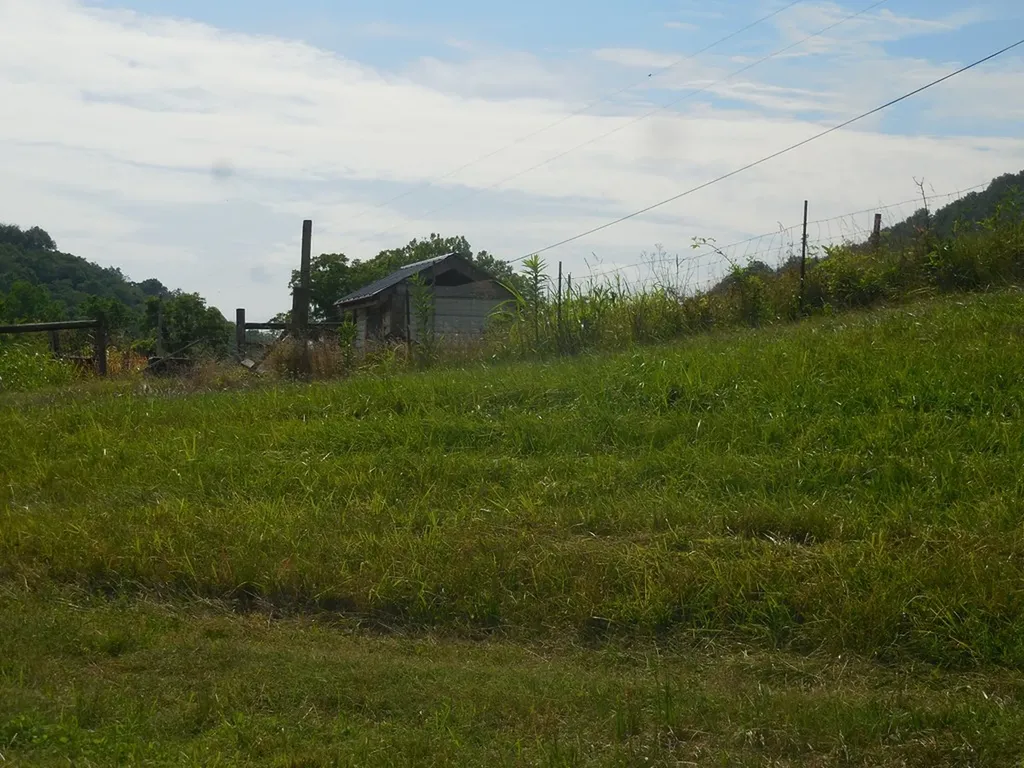 0 Flynns Lick Lane Gainesboro TN 38562
