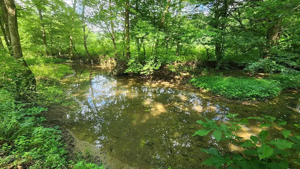 340 Christian Community Road Livingston TN 38570