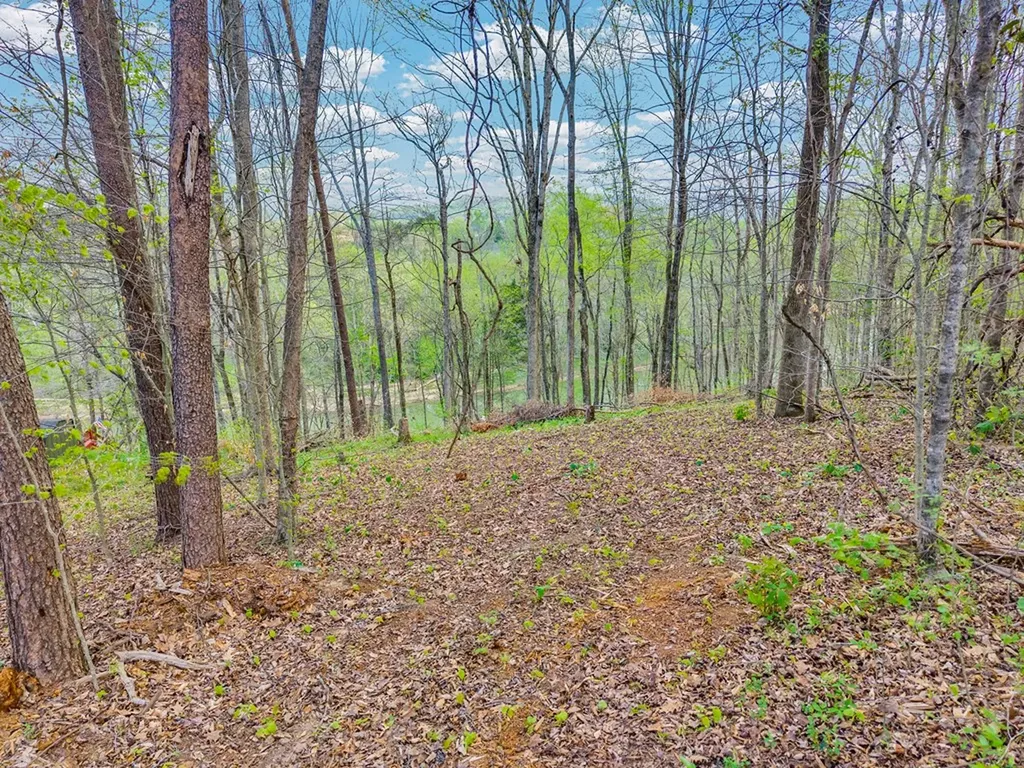 00 Lawson Road Sparta TN 38583