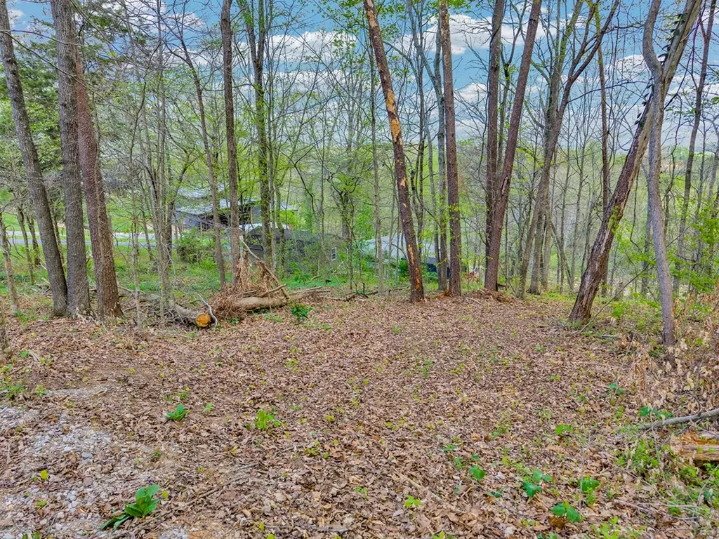 00 Lawson Road Sparta TN 38583