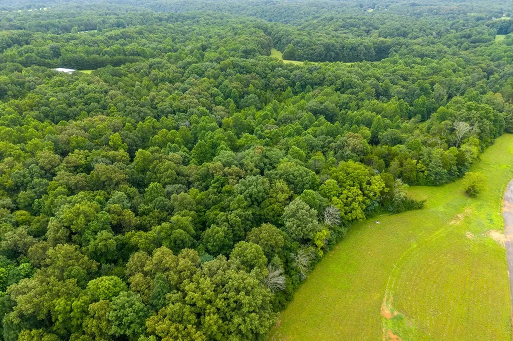 Lot 2 Johnson Chapel Road Sparta TN 38583