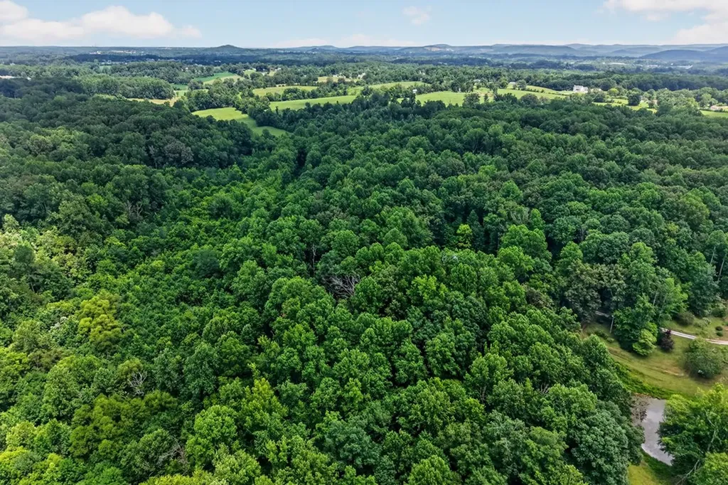1403 Tanasi Trail Cookeville TN 38506