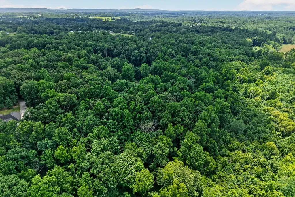1403 Tanasi Trail Cookeville TN 38506