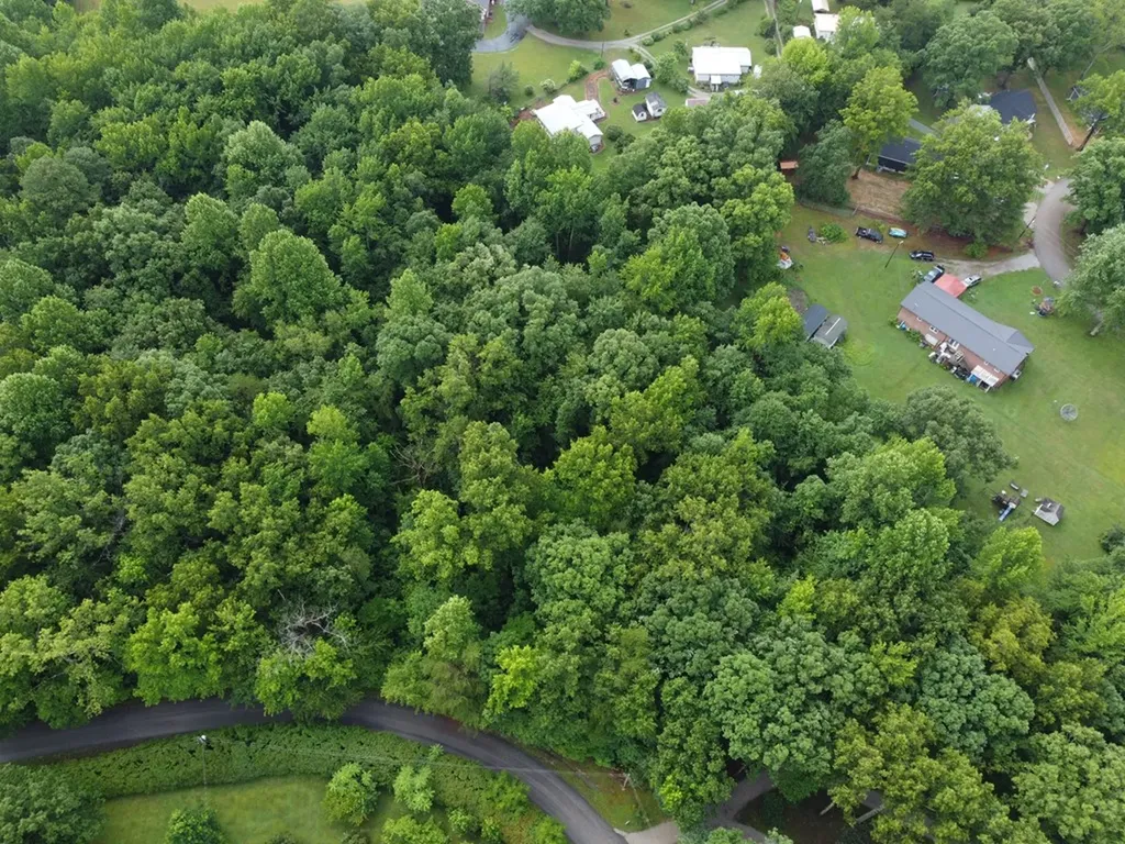 00 Avondale Road Sparta TN 38583