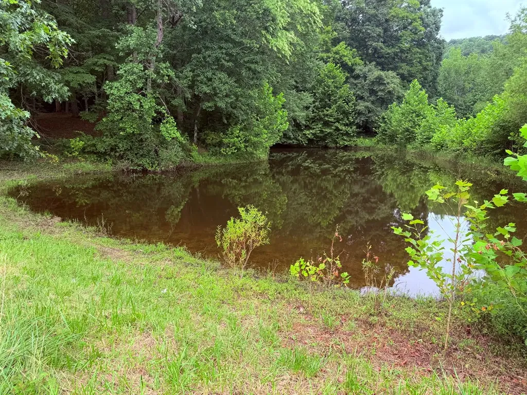 8499 Round Cove Road Sparta TN 38583
