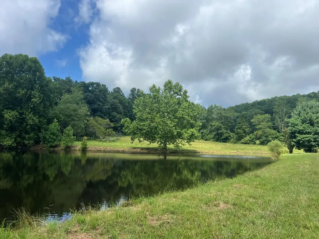 8499 Round Cove Road Sparta TN 38583