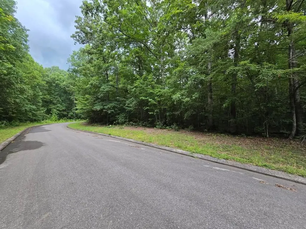 Lot 140 Lower Brow Road Dunlap TN 37327