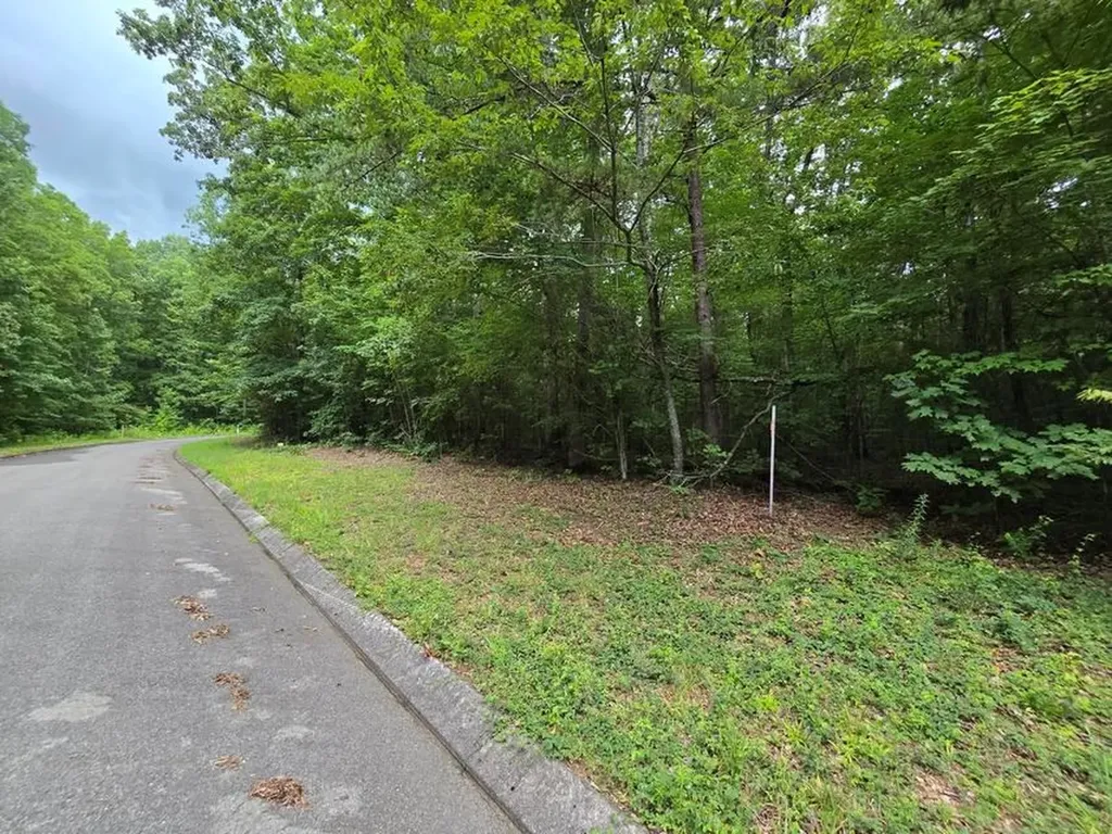 Lot 140 Lower Brow Road Dunlap TN 37327