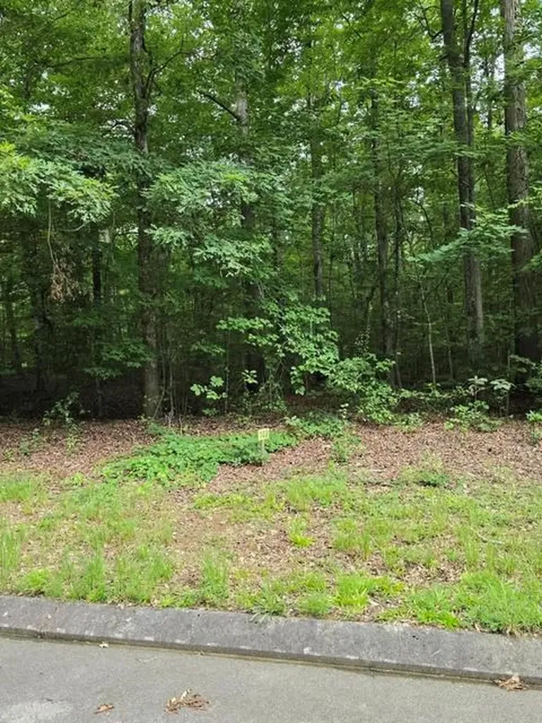 Lot 140 Lower Brow Road Dunlap TN 37327