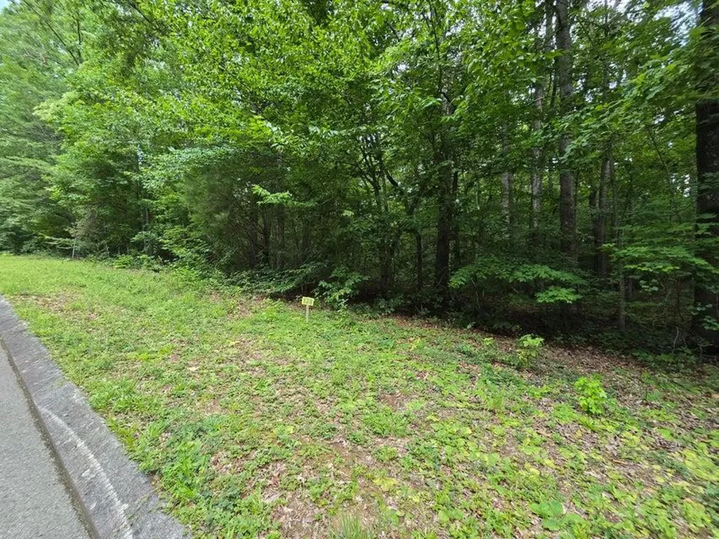 Lot 138 Lower Brow Road Dunlap TN 37327