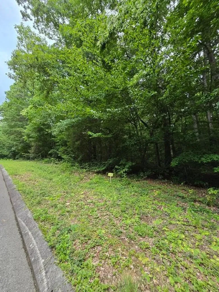 Lot 138 Lower Brow Road Dunlap TN 37327