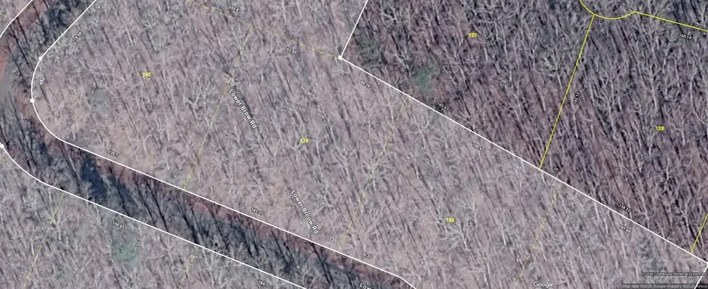 Lot 138 Lower Brow Road Dunlap TN 37327