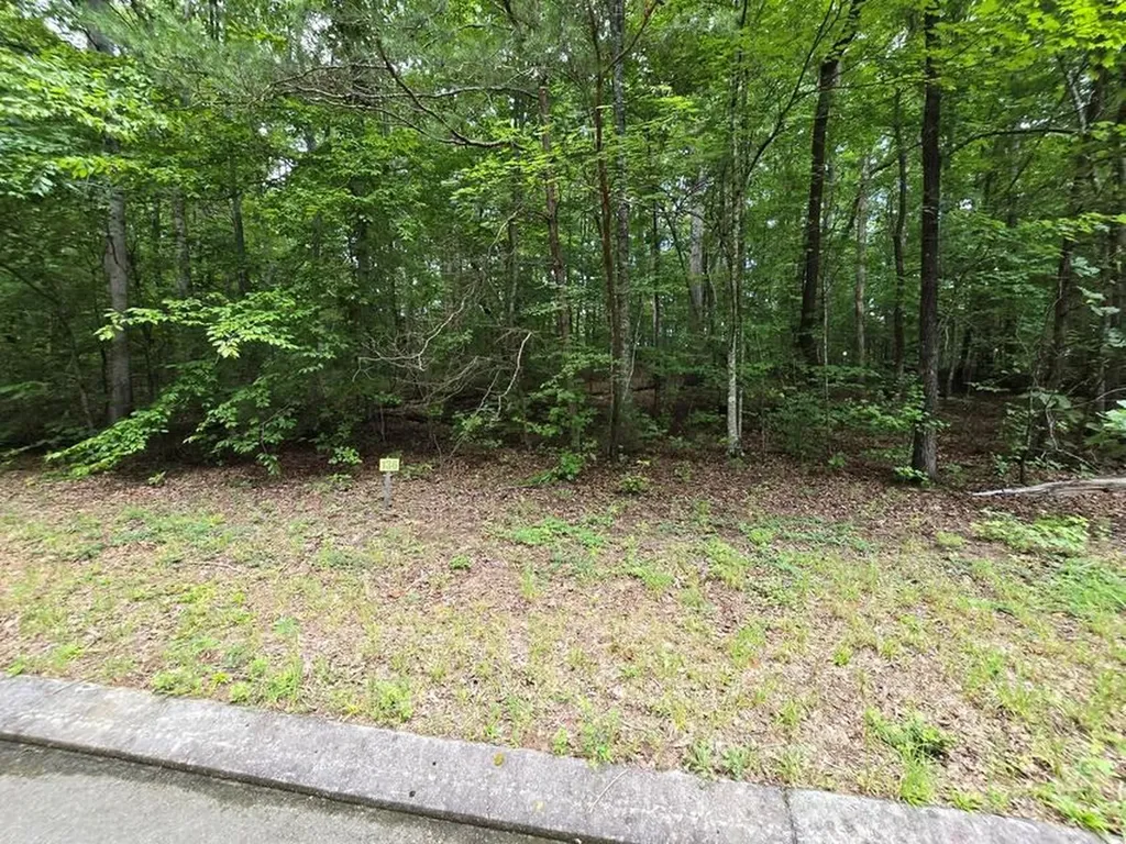 Lot 136 Lower Brow Road Dunlap TN 37327