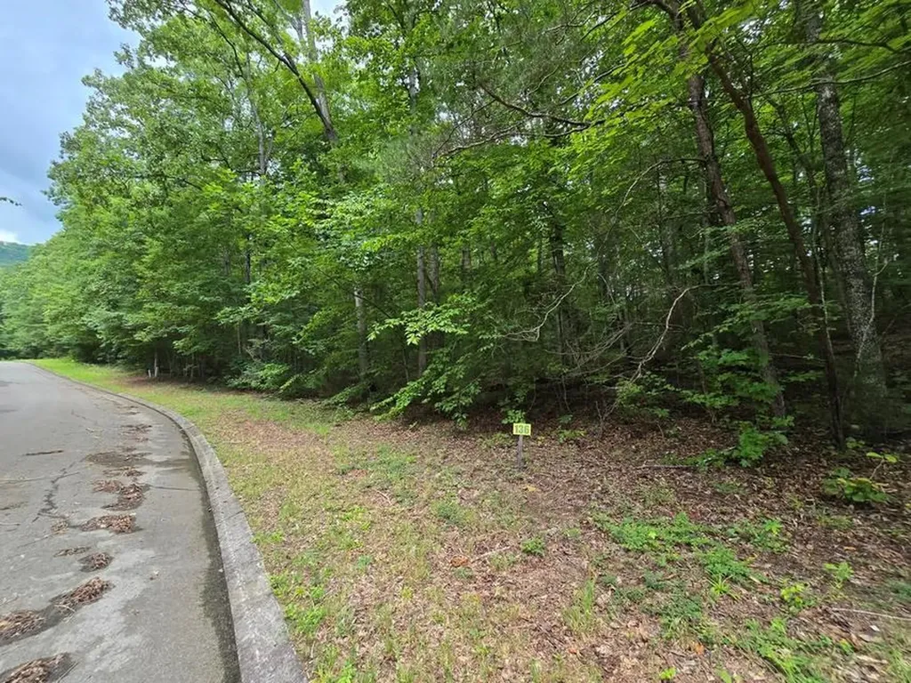 Lot 136 Lower Brow Road Dunlap TN 37327