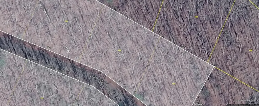 Lot 136 Lower Brow Road Dunlap TN 37327