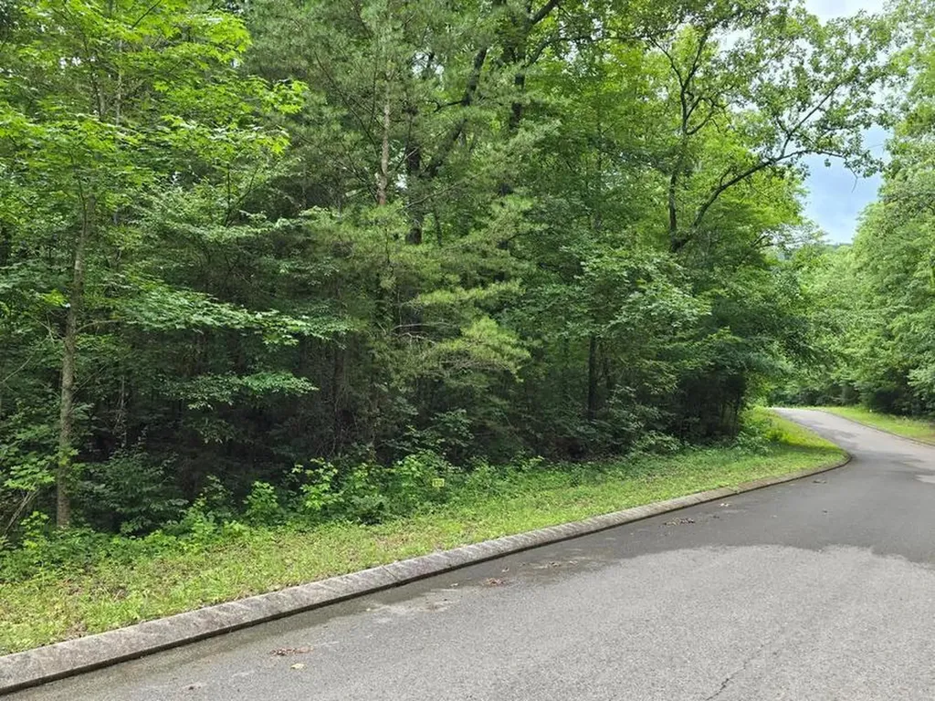 Lot 135 Lower Brow Road Dunlap TN 37327