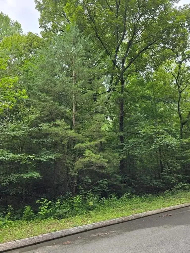 Lot 135 Lower Brow Road Dunlap TN 37327