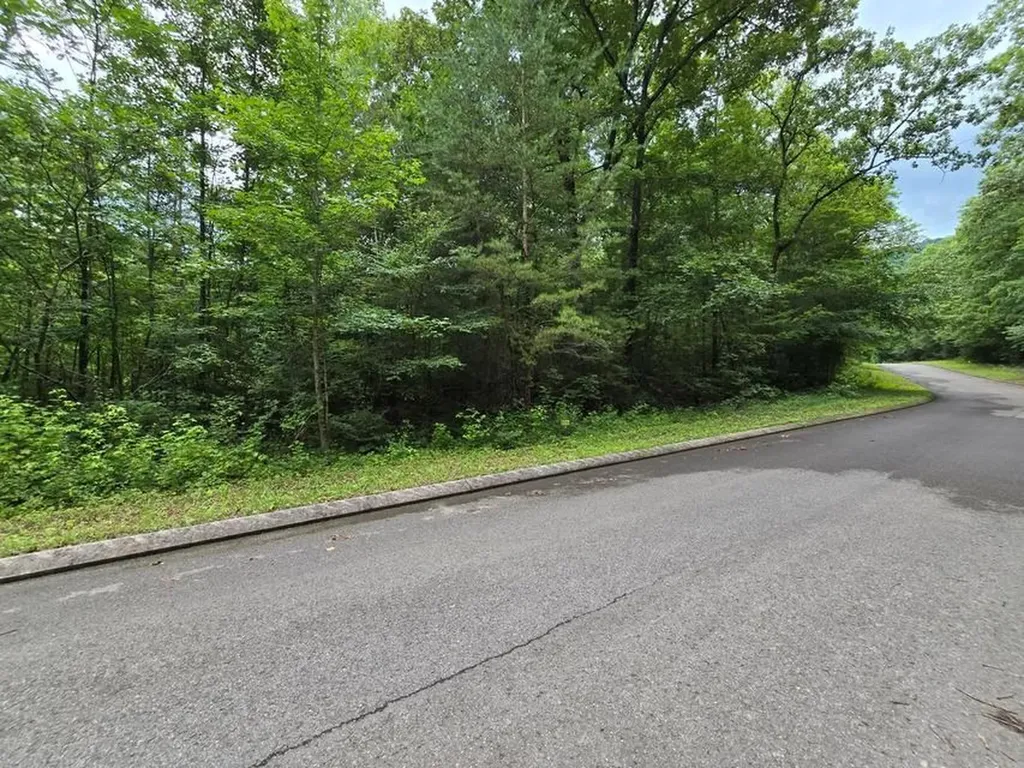 Lot 135 Lower Brow Road Dunlap TN 37327