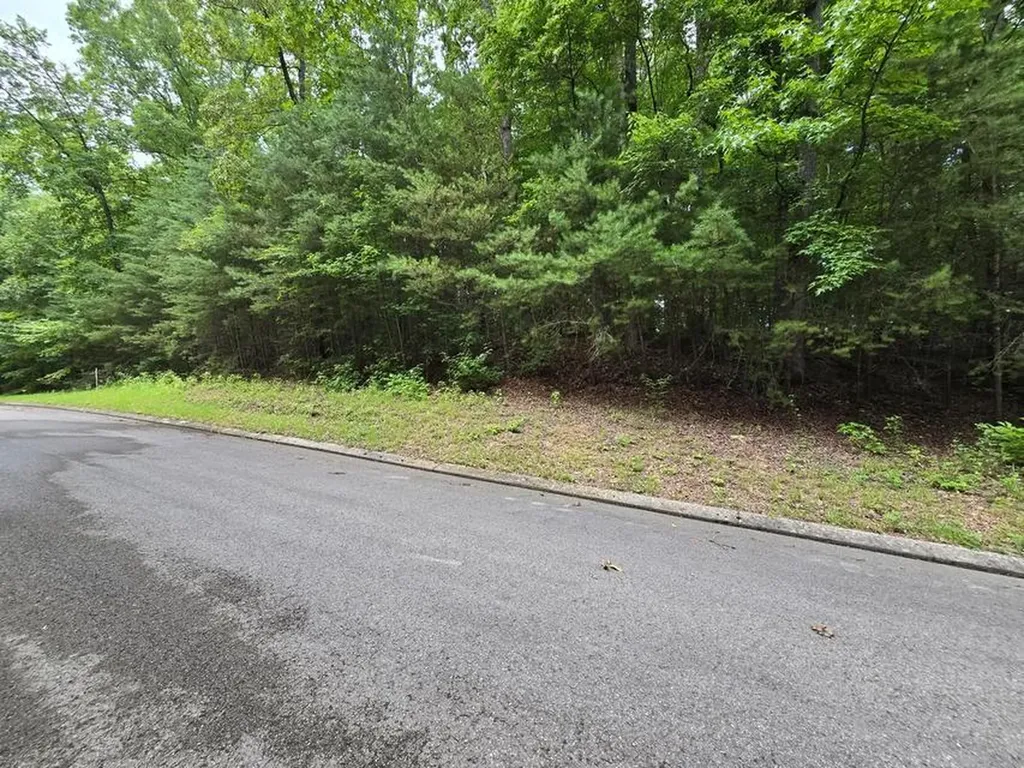 Lot 134 Lower Brow Road Sequatchie TN 37327