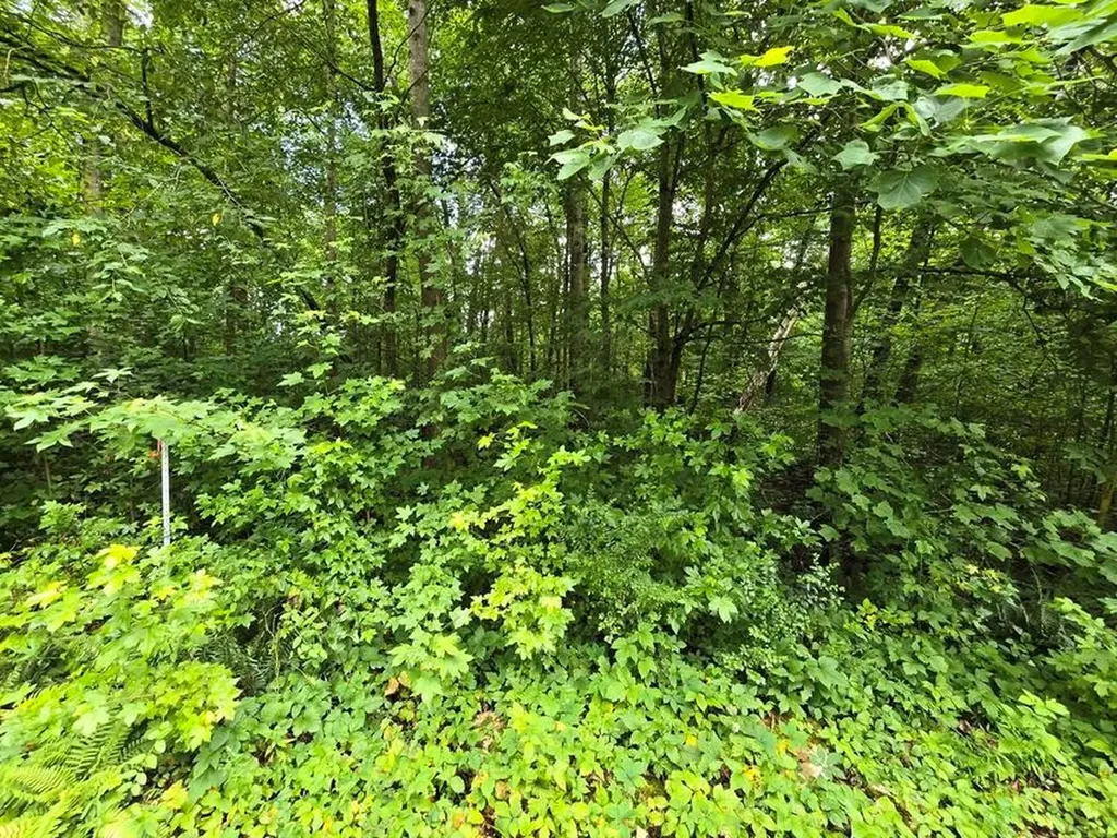 Lot 133 Lower Brow Road Dunlap TN 37327