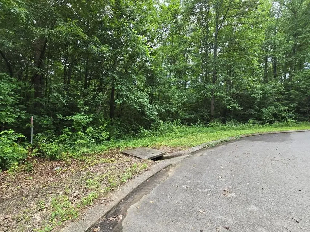 Lot 133 Lower Brow Road Dunlap TN 37327
