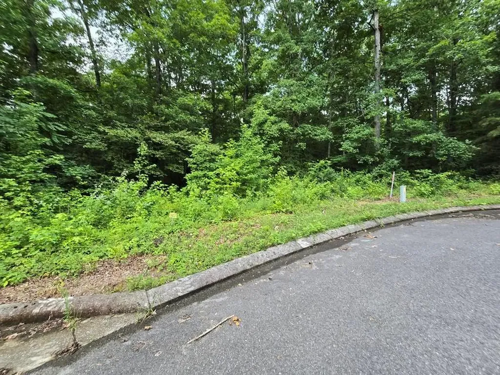 Lot 142 Lower Brow Road Dunlap TN 37327