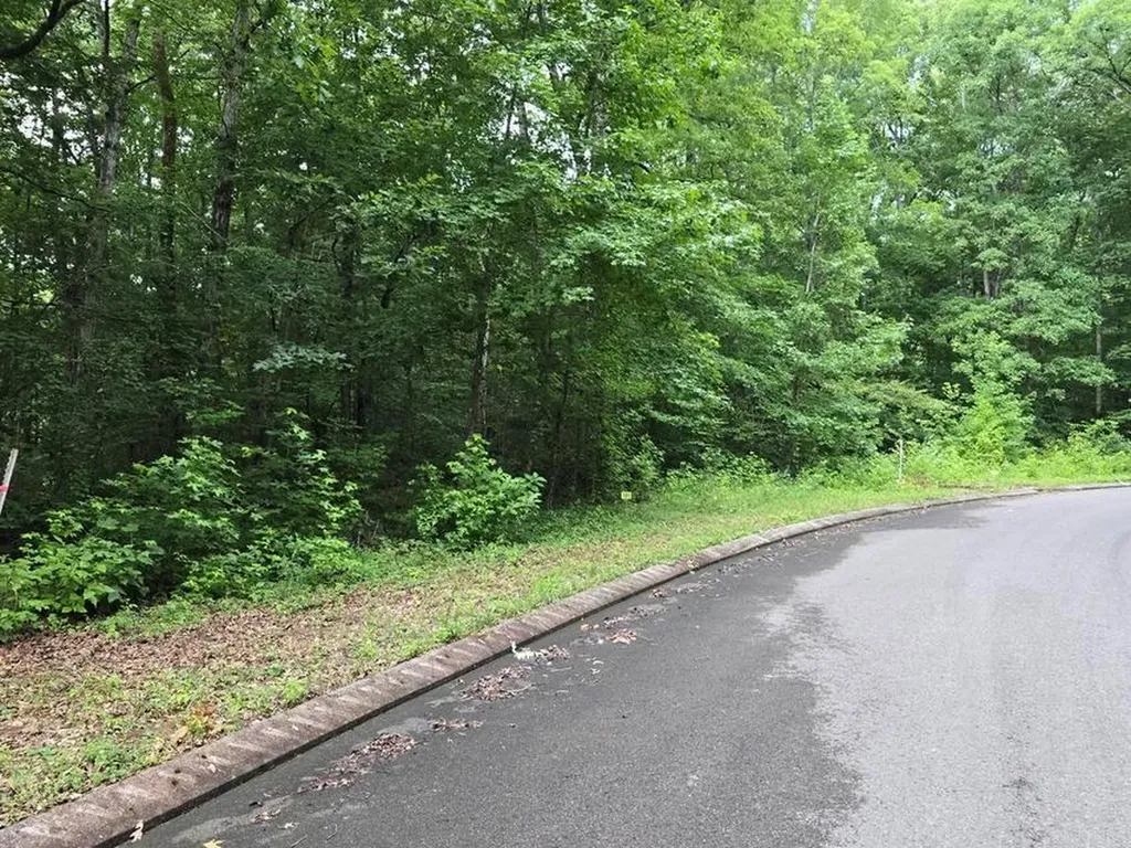 Lot 141 Lower Brow Road Dunlap TN 37327