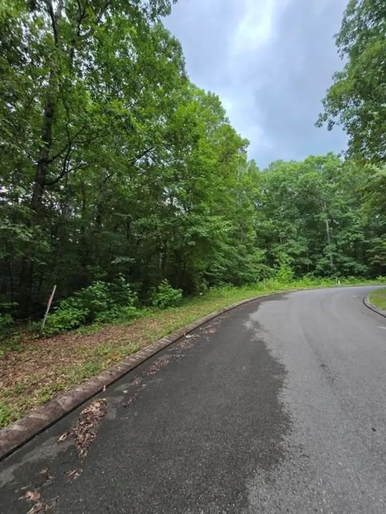 Lot 141 Lower Brow Road Dunlap TN 37327