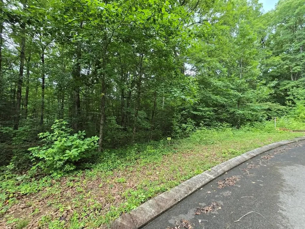 Lot 141 Lower Brow Road Dunlap TN 37327