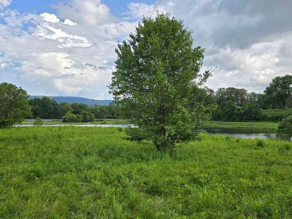 Lot 1 Spring Lake Drive Dunlap TN 37327