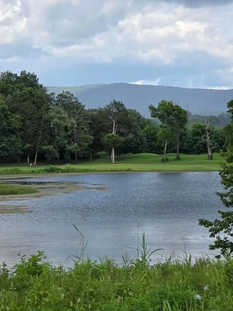 Lot 1 Spring Lake Drive Dunlap TN 37327
