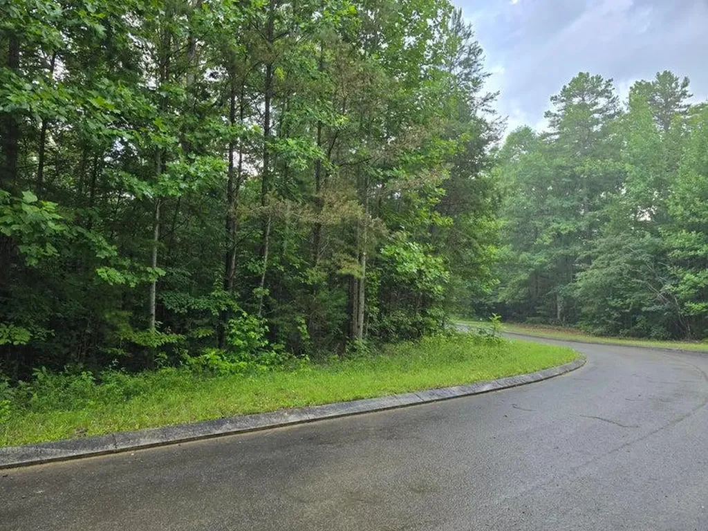 Lot 156 Lower Brow Road Dunlap TN 37327