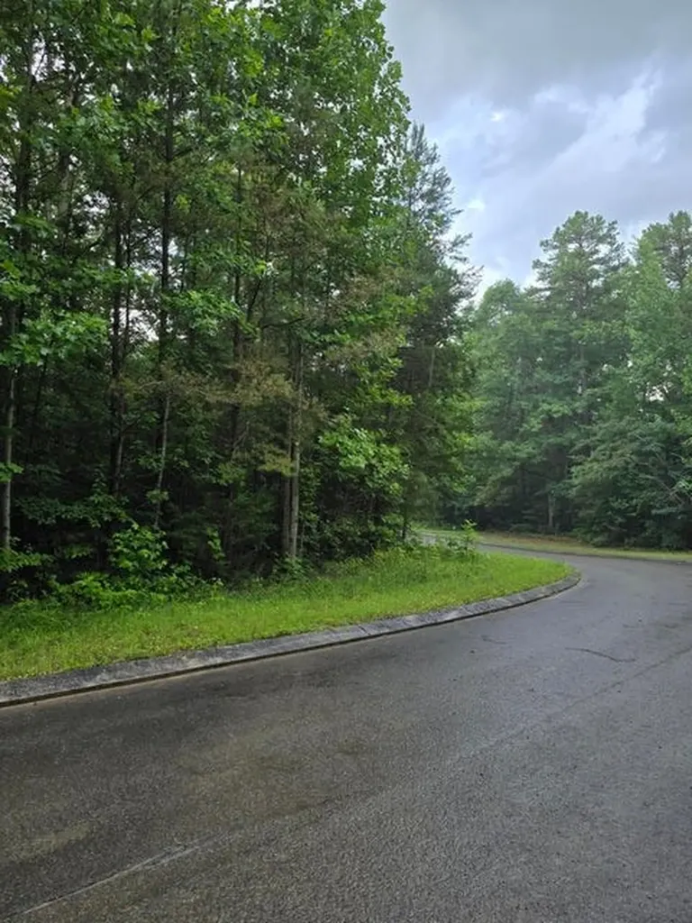 Lot 156 Lower Brow Road Dunlap TN 37327
