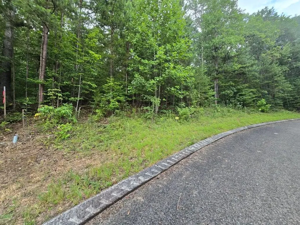 Lot 155 Lower Brow Road Dunlap TN 37327