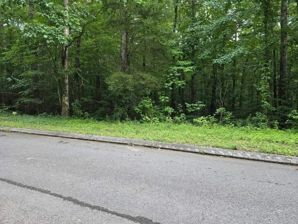 Lot 144 Lower Brow Road Dunlap TN 37327