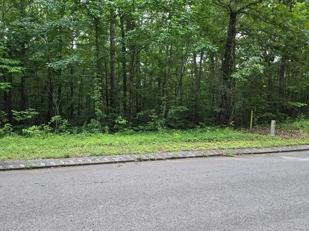 Lot 144 Lower Brow Road Dunlap TN 37327