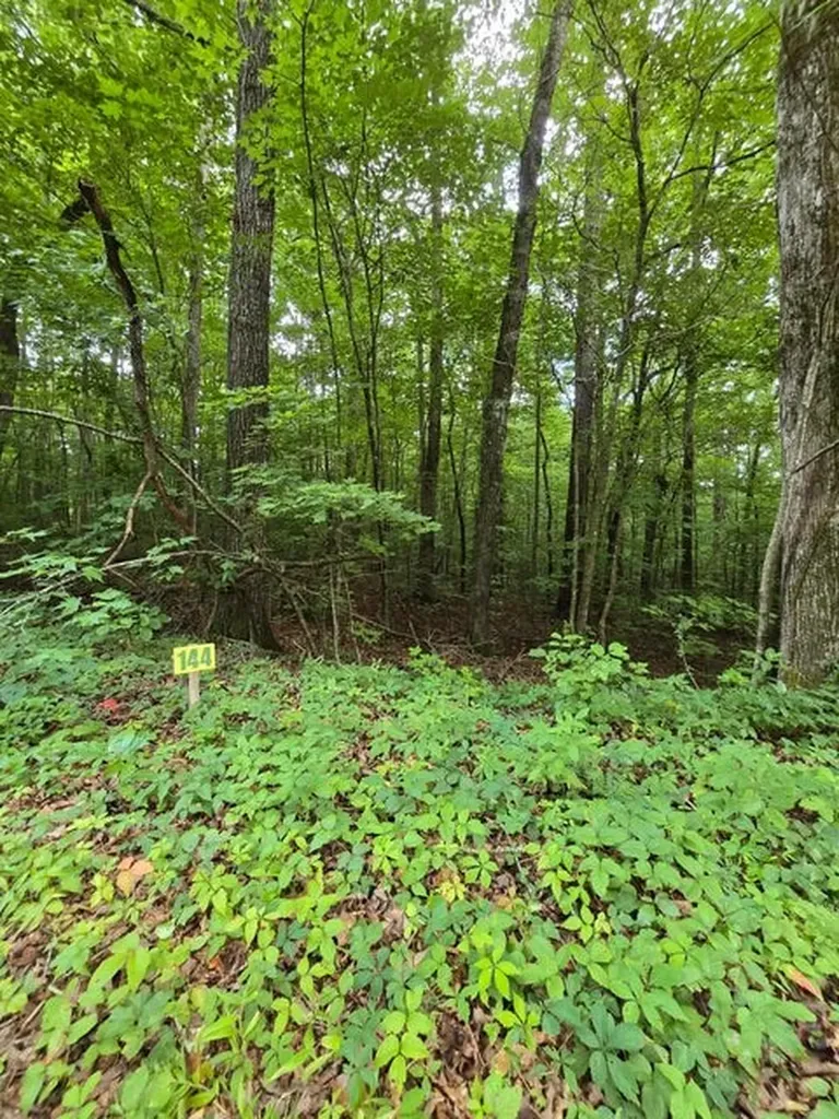 Lot 144 Lower Brow Road Dunlap TN 37327