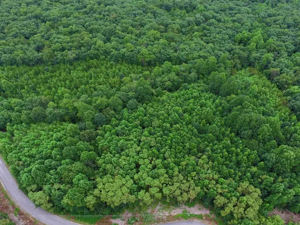 292 Overlook Drive Spencer TN 38585