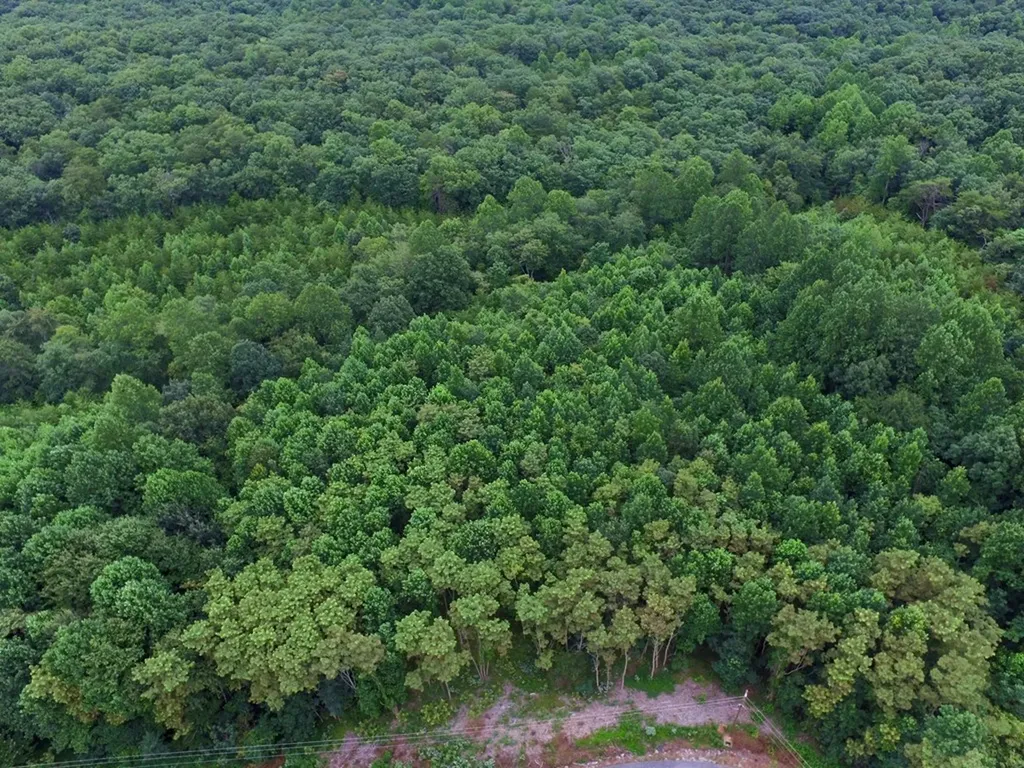 292 Overlook Drive Spencer TN 38585