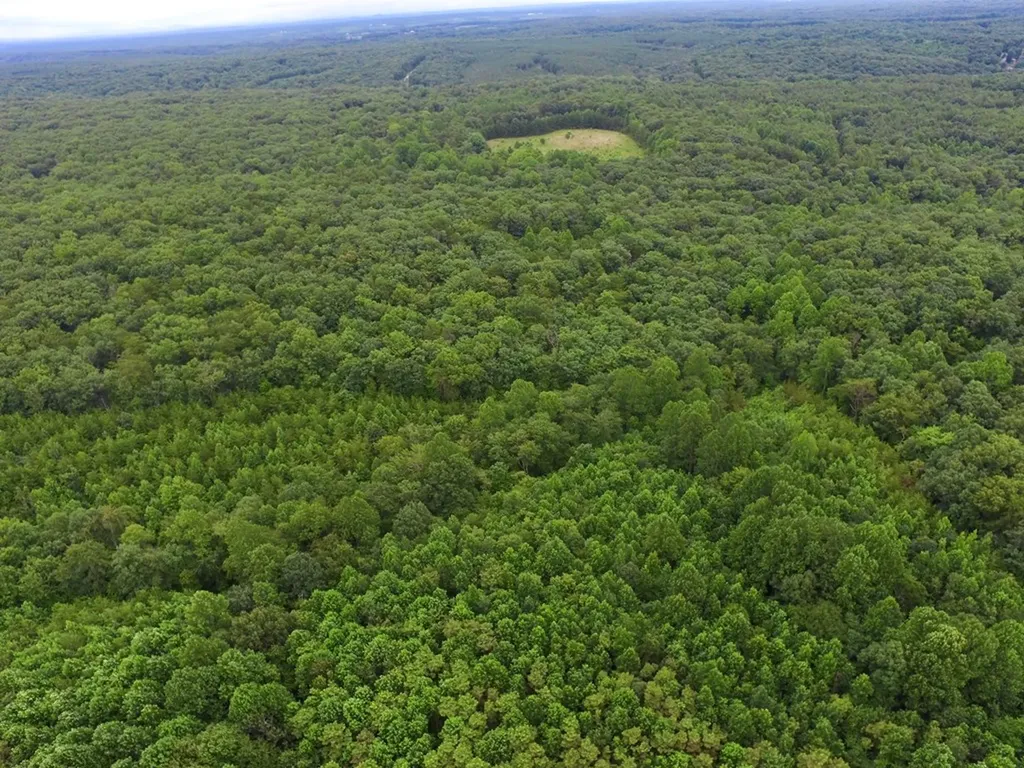 292 Overlook Drive Spencer TN 38585