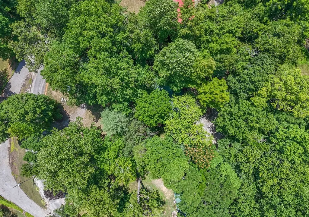 1908 Potts Camp Road Smithville TN 37166