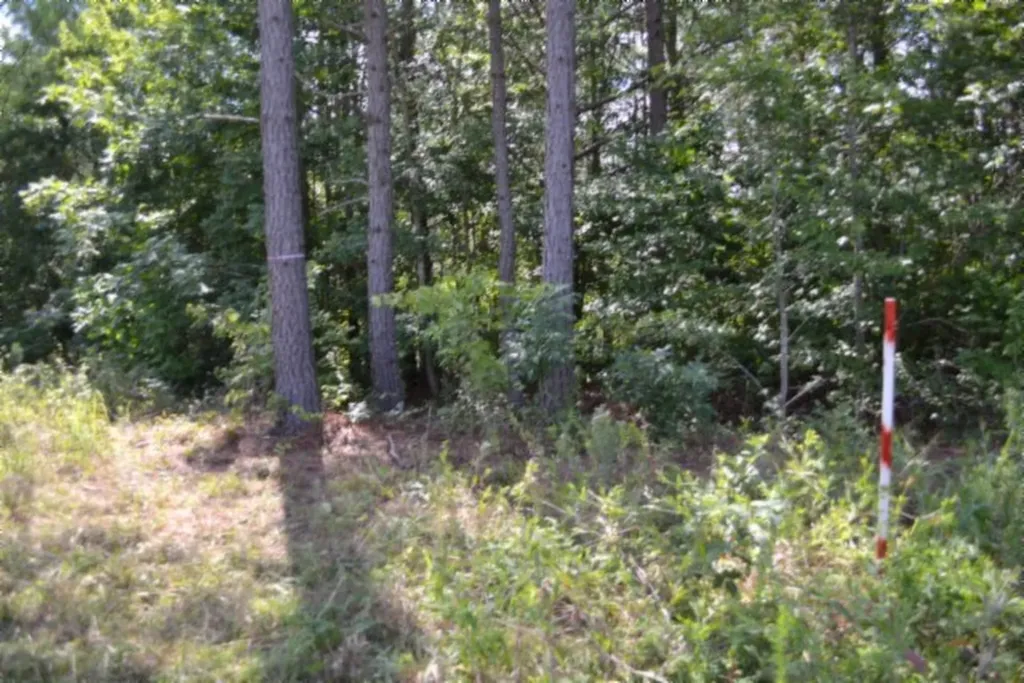 318 Rhodas Way Road Sunbright TN 37872
