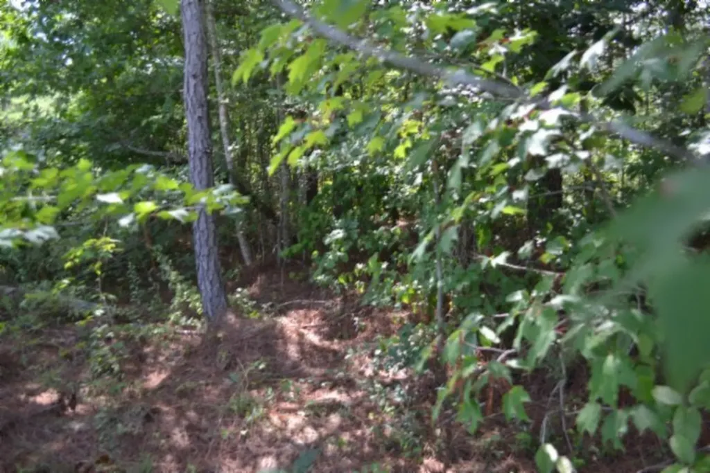 318 Rhodas Way Road Sunbright TN 37872