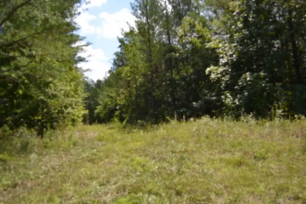 318 Rhodas Way Road Sunbright TN 37872