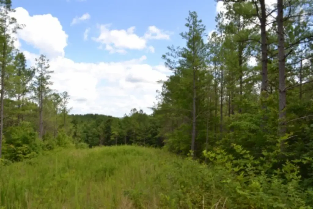 318 Rhodas Way Road Sunbright TN 37872