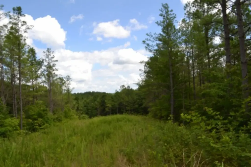 318 Rhodas Way Road Sunbright TN 37872